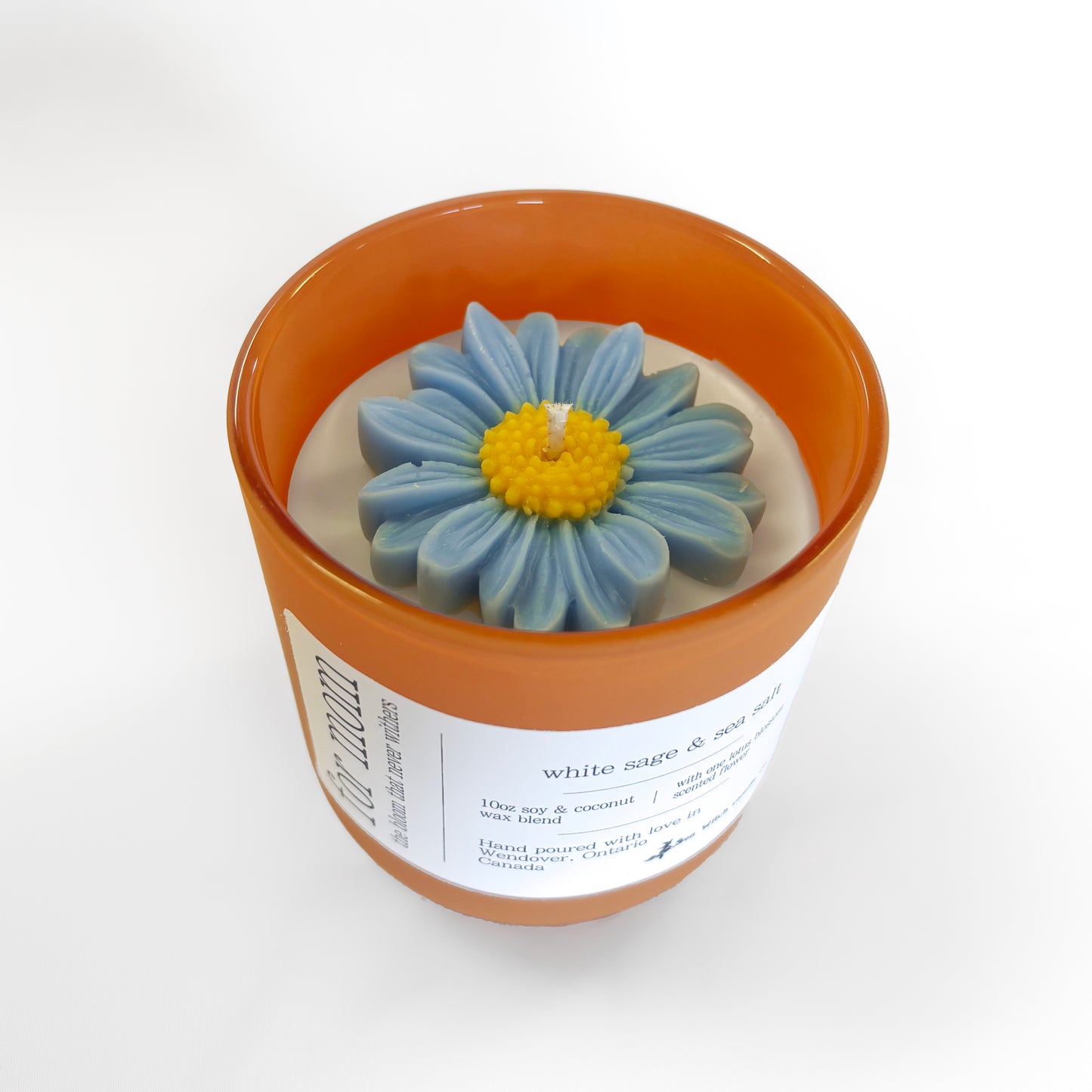 Mother's Day : Daisy